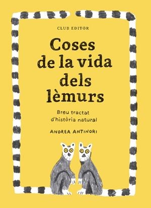 Coses de la vida dels lèmurs | 9788473294096 | Antinori, Andrea | Llibres.cat | Llibreria online en català | La Impossible Llibreters Barcelona