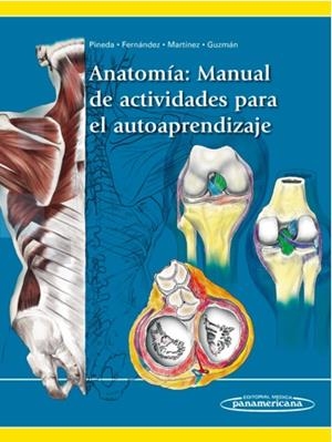Anatomía: Manual de Actividades para el autoaprendizaje | 9789588443843 | Pineda Martínez, Diego/Fernández Sánchez, Andrés/Martínez Niño, Carlos Eduardo/Guzmán Ramírez, Jesús | Llibres.cat | Llibreria online en català | La Impossible Llibreters Barcelona