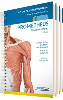 PROMETHEUS. Atlas de Anatomía.Fichas de autoevaluación | 9788491106517 | Schünke, Michael/Schulte, Erik/Schumacher, Udo | Llibres.cat | Llibreria online en català | La Impossible Llibreters Barcelona