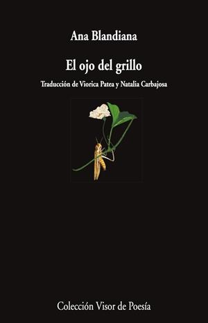 EL ojo del grillo | 9788498955750 | Blandiana, Ana | Llibres.cat | Llibreria online en català | La Impossible Llibreters Barcelona