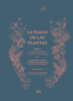 La magia de las plantas | 9788425235603 | Gayoso, Ana | Llibres.cat | Llibreria online en català | La Impossible Llibreters Barcelona