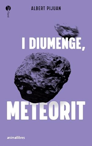 I diumenge, meteorit | 9788419659415 | Albert Pijuan | Llibres.cat | Llibreria online en català | La Impossible Llibreters Barcelona