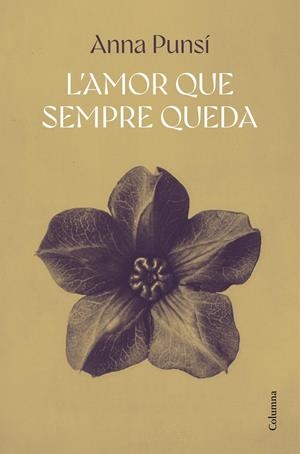 L'amor que sempre queda | 9788466432542 | Punsí Lladó, Anna | Llibres.cat | Llibreria online en català | La Impossible Llibreters Barcelona