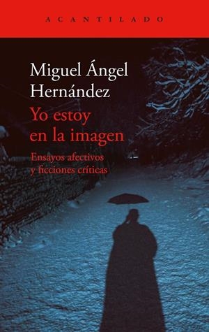 Yo estoy en la imagen | 9788419958235 | Hernández, Miguel Ángel | Llibres.cat | Llibreria online en català | La Impossible Llibreters Barcelona