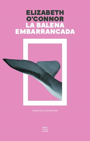 La balena embarrancada | 9788419960313 | O'Connor, Elizabeth | Llibres.cat | Llibreria online en català | La Impossible Llibreters Barcelona