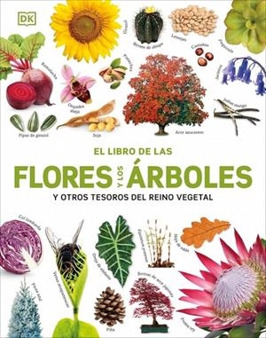 El libro de las flores y los árboles | 9780241736807 | DK | Llibres.cat | Llibreria online en català | La Impossible Llibreters Barcelona