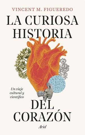 La curiosa historia del corazón | 9788434438392 | Figueredo, Vincent M. | Llibres.cat | Llibreria online en català | La Impossible Llibreters Barcelona