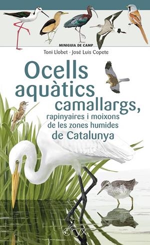 Ocells aquàtics camallargs, rapinyaires i moixons de les zones humides de Catalu | 9788413564746 | Copete, José Luis | Llibres.cat | Llibreria online en català | La Impossible Llibreters Barcelona
