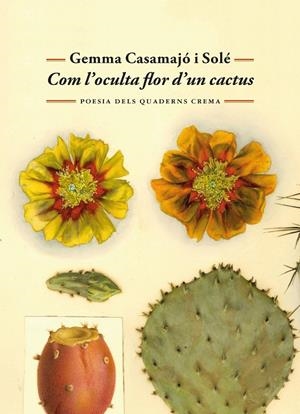 Com l'oculta flor d'un cactus | 9788477277071 | Casamajó i Solé, Gemma | Llibres.cat | Llibreria online en català | La Impossible Llibreters Barcelona