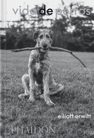 Vida de perros | 9781838669744 | ERWITT, ELLIOTT/WODEHOUSE, P.G. | Llibres.cat | Llibreria online en català | La Impossible Llibreters Barcelona