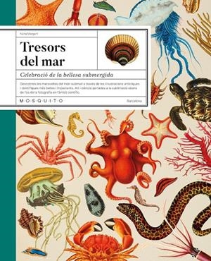 Tresors del mar | 9788419095756 | Margarit, Núria | Llibres.cat | Llibreria online en català | La Impossible Llibreters Barcelona