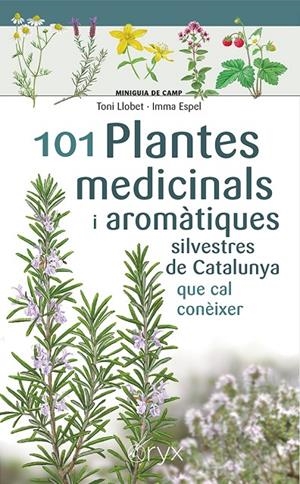 101 Plantes medicinals i aromàtiques silvestres de Catalunya | 9788413562209 | Espel, Imma/Llobet François, Toni | Llibres.cat | Llibreria online en català | La Impossible Llibreters Barcelona