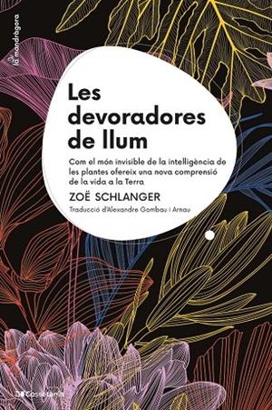 Les devoradores de llum | 9788413564821 | Schlanger, Zoë | Llibres.cat | Llibreria online en català | La Impossible Llibreters Barcelona