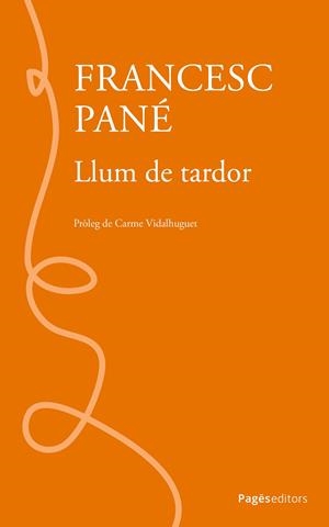 Llum de tardor | 9788413036199 | Pané Sans, Francesc | Llibres.cat | Llibreria online en català | La Impossible Llibreters Barcelona