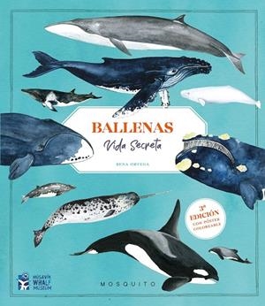 Ballenas. Vida secreta (3ª edición con póster coloreable) | 9788410417151 | Ortega, Rena/Ortega, Rena | Llibres.cat | Llibreria online en català | La Impossible Llibreters Barcelona