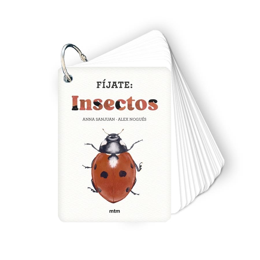 Fíjate: insectos | 9788410407183 | Sanjuan Llorens, Anna/Nogués, Alex | Llibres.cat | Llibreria online en català | La Impossible Llibreters Barcelona