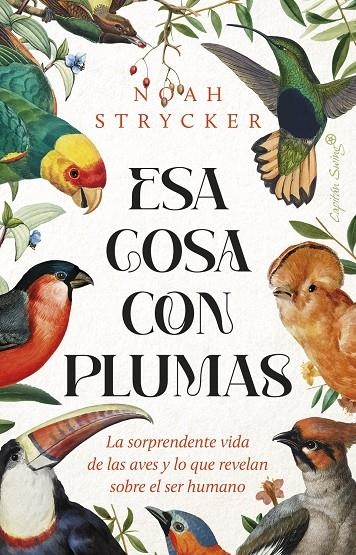 Esa cosa con plumas | 9788412953114 | Stryck, Noah Keefer | Llibres.cat | Llibreria online en català | La Impossible Llibreters Barcelona