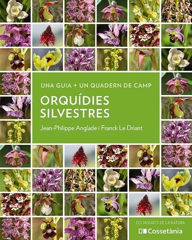 Orquídies silvestres | 9788413564920 | Anglade, Jean-Philippe/Le Driant, Franck | Llibres.cat | Llibreria online en català | La Impossible Llibreters Barcelona
