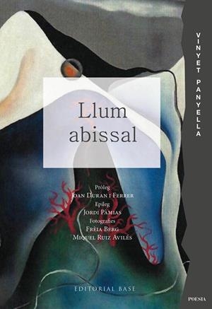 Llum abissal | 9791387728021 | Panyella, Vinyet | Llibres.cat | Llibreria online en català | La Impossible Llibreters Barcelona