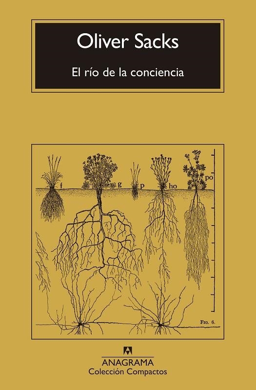 El río de la conciencia | 9788433946867 | Sacks, Oliver | Llibres.cat | Llibreria online en català | La Impossible Llibreters Barcelona