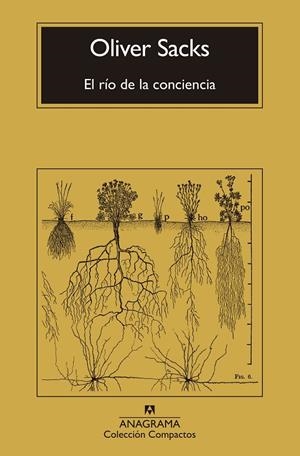 El río de la conciencia | 9788433946867 | Sacks, Oliver | Llibres.cat | Llibreria online en català | La Impossible Llibreters Barcelona
