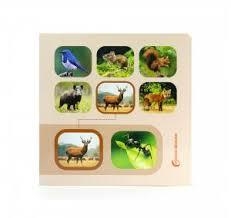 BUSCA Y ENCUENTRA ANIMALES DEL BOSQUE | 9788412906806 | Llibres.cat | Llibreria online en català | La Impossible Llibreters Barcelona