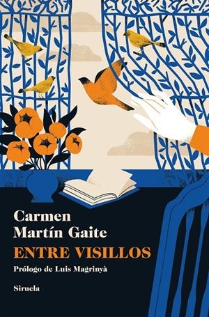 Entre visillos | 9788410415317 | Martín Gaite, Carmen | Llibres.cat | Llibreria online en català | La Impossible Llibreters Barcelona