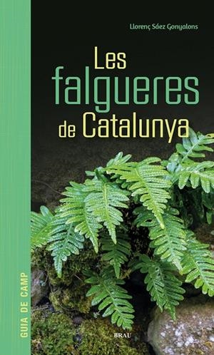 Les falgueres de Catalunya | 9791387701017 | Sáez Gonyalons, Llorenç | Llibres.cat | Llibreria online en català | La Impossible Llibreters Barcelona