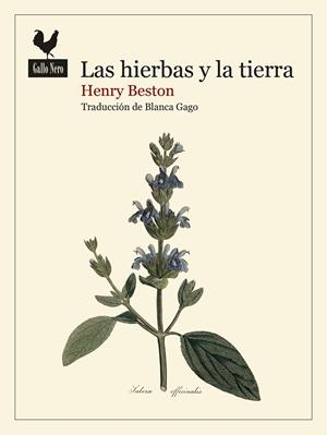 Las hierbas y la tierra | 9788419168740 | Beston, Henry | Llibres.cat | Llibreria online en català | La Impossible Llibreters Barcelona