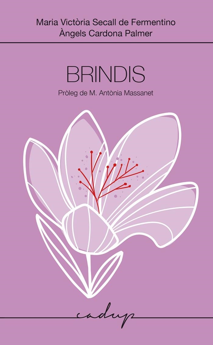 Brindis | 9788412991598 | Secall de Fermentino, Maria Victòria/Cardona Palmer, Maria Àngela | Llibres.cat | Llibreria online en català | La Impossible Llibreters Barcelona