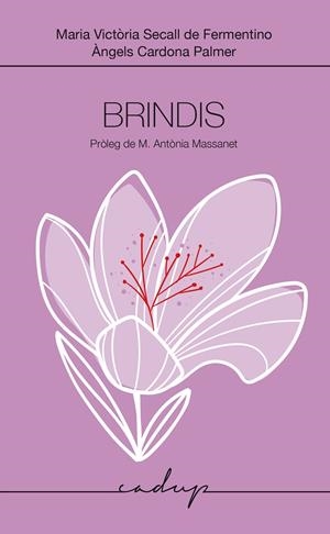 Brindis | 9788412991598 | Secall de Fermentino, Maria Victòria/Cardona Palmer, Maria Àngela | Llibres.cat | Llibreria online en català | La Impossible Llibreters Barcelona