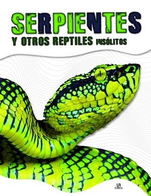 Serpientes y Otros Reptiles Insólitos | 9788466236621 | Penalva Comendador, Nuria | Llibres.cat | Llibreria online en català | La Impossible Llibreters Barcelona