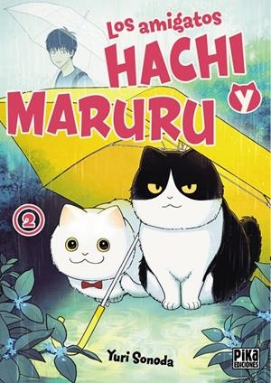 Los amigatos Hachi y Maruru 2 | 9782811699222 | Sonoda, Yuri | Llibres.cat | Llibreria online en català | La Impossible Llibreters Barcelona
