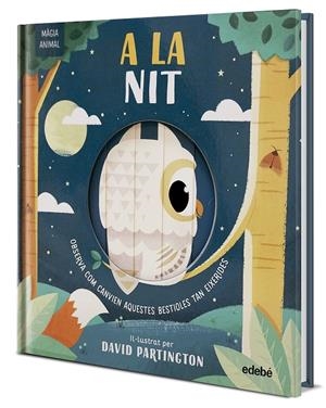 MÀGIA ANIMAL. A LA NIT | 9788468372143 | Clark, Neil/Stone, Harriet | Llibres.cat | Llibreria online en català | La Impossible Llibreters Barcelona