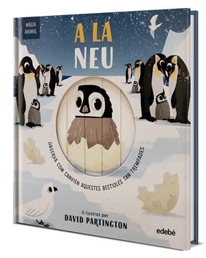 MÀGIA ANIMAL: A LA NEU | 9788468372150 | Clark, Neil/Stone, Harriet | Llibres.cat | Llibreria online en català | La Impossible Llibreters Barcelona