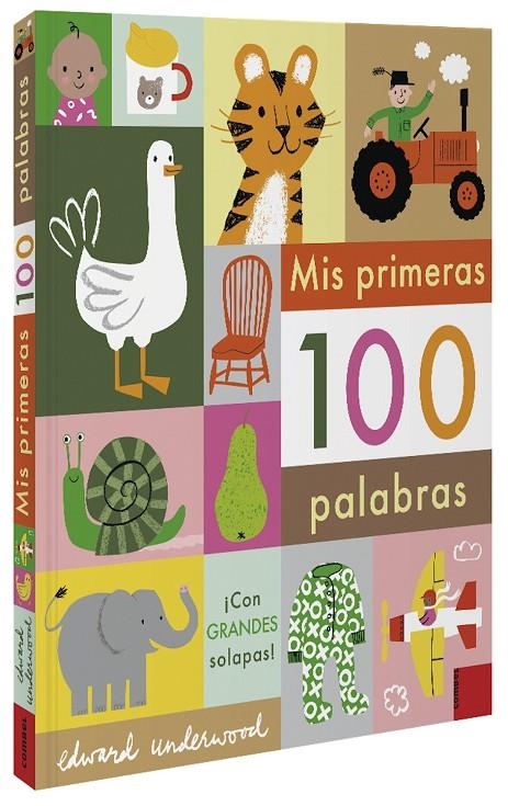 Mis primeras 100 palabras | 9788491015949 | Llibres.cat | Llibreria online en català | La Impossible Llibreters Barcelona