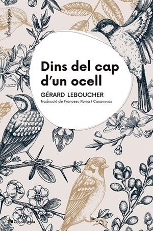 Dins del cap d'un ocell | 9788413565163 | Leboucher, Gérard | Llibres.cat | Llibreria online en català | La Impossible Llibreters Barcelona