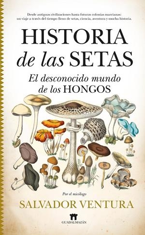 Historia de las setas | 9788419414281 | Salvador Ventura Pedret | Llibres.cat | Llibreria online en català | La Impossible Llibreters Barcelona