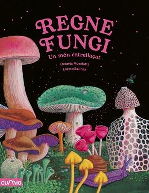 REGNE FUNGI | 9788482896922 | MOSCIATTI, OCTAVIA | Llibres.cat | Llibreria online en català | La Impossible Llibreters Barcelona