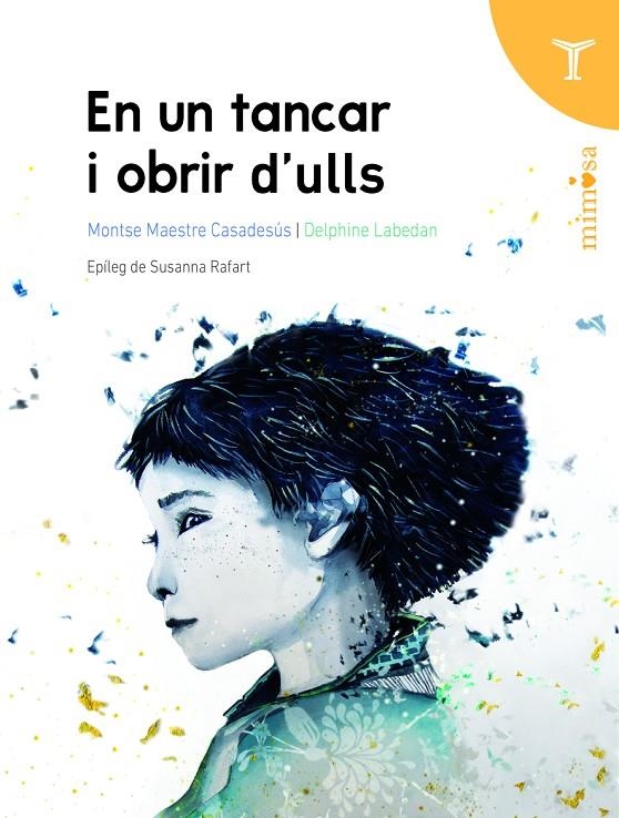 EN UN TANCAR I OBRIR D'ULLS | 9788412728989 | Maestre Casadesús, Montse/Labedan, Delphine | Llibres.cat | Llibreria online en català | La Impossible Llibreters Barcelona