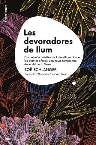 Les devoradores de llum | 9788413564111 | Schlanger, Zoë | Llibres.cat | Llibreria online en català | La Impossible Llibreters Barcelona