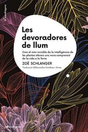 Les devoradores de llum | 9788413564111 | Schlanger, Zoë | Llibres.cat | Llibreria online en català | La Impossible Llibreters Barcelona