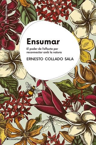 Ensumar | 9788413564227 | Collado, Ernesto | Llibres.cat | Llibreria online en català | La Impossible Llibreters Barcelona