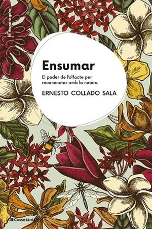 Ensumar | 9788413564227 | Collado, Ernesto | Llibres.cat | Llibreria online en català | La Impossible Llibreters Barcelona