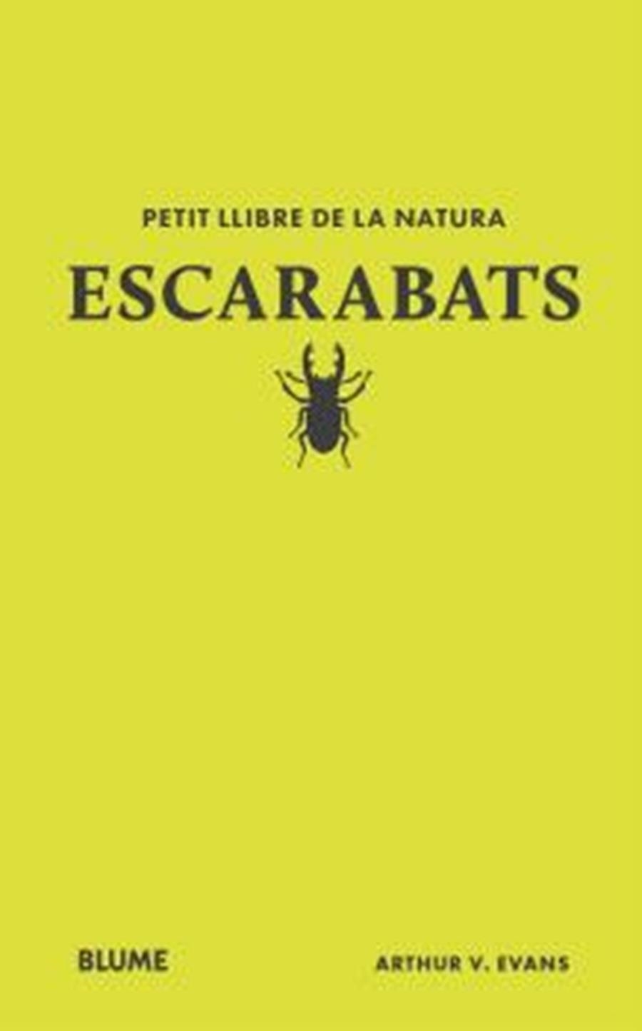Escarabats | 9791387881894 | Evans, Arthur V. | Llibres.cat | Llibreria online en català | La Impossible Llibreters Barcelona