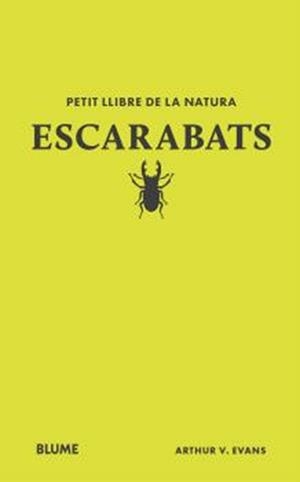 Escarabats | 9791387881894 | Evans, Arthur V. | Llibres.cat | Llibreria online en català | La Impossible Llibreters Barcelona