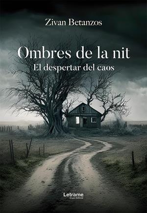 Ombres de la nit | 9788410681163 | Betanzos, Zivan | Llibres.cat | Llibreria online en català | La Impossible Llibreters Barcelona