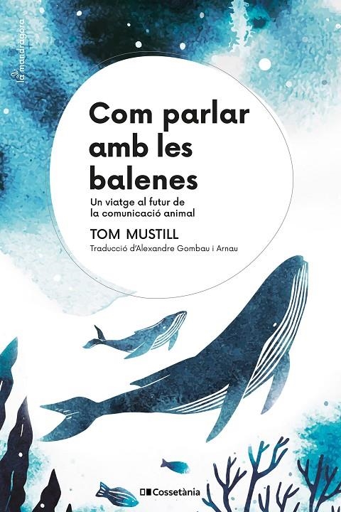 Com parlar amb les balenes | 9788413564029 | Mustill, Tom | Llibres.cat | Llibreria online en català | La Impossible Llibreters Barcelona