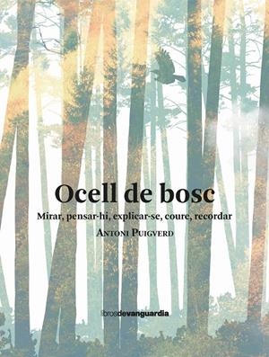 Ocell de bosc. Mirar, pensar-hi, explicar-se, coure, recordar | 9788418604478 | Puigverd, Antoni | Llibres.cat | Llibreria online en català | La Impossible Llibreters Barcelona