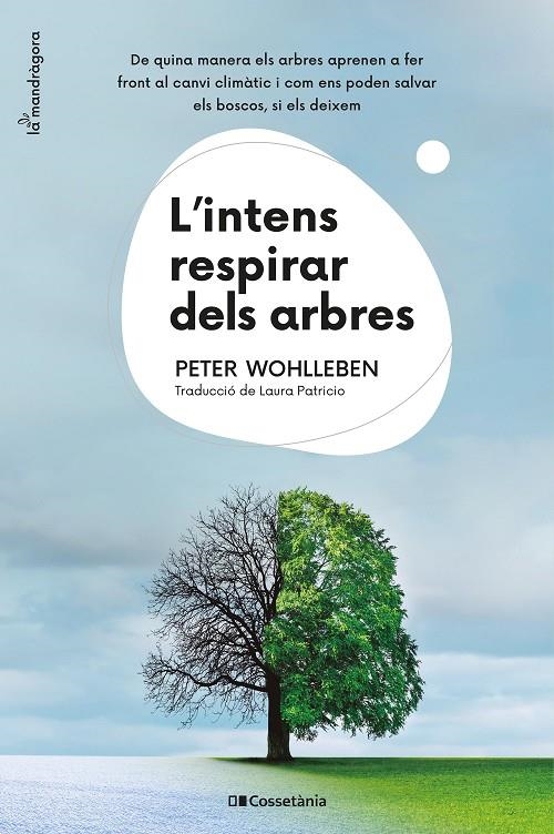 L'intens respirar dels arbres | 9788413561264 | Wohlleben, Peter | Llibres.cat | Llibreria online en català | La Impossible Llibreters Barcelona
